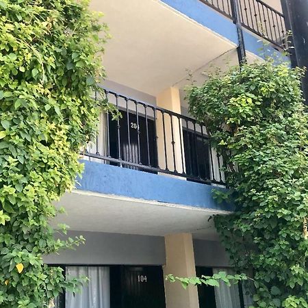 Hotel Nuevo Vallarta Zapopan Ngoại thất bức ảnh